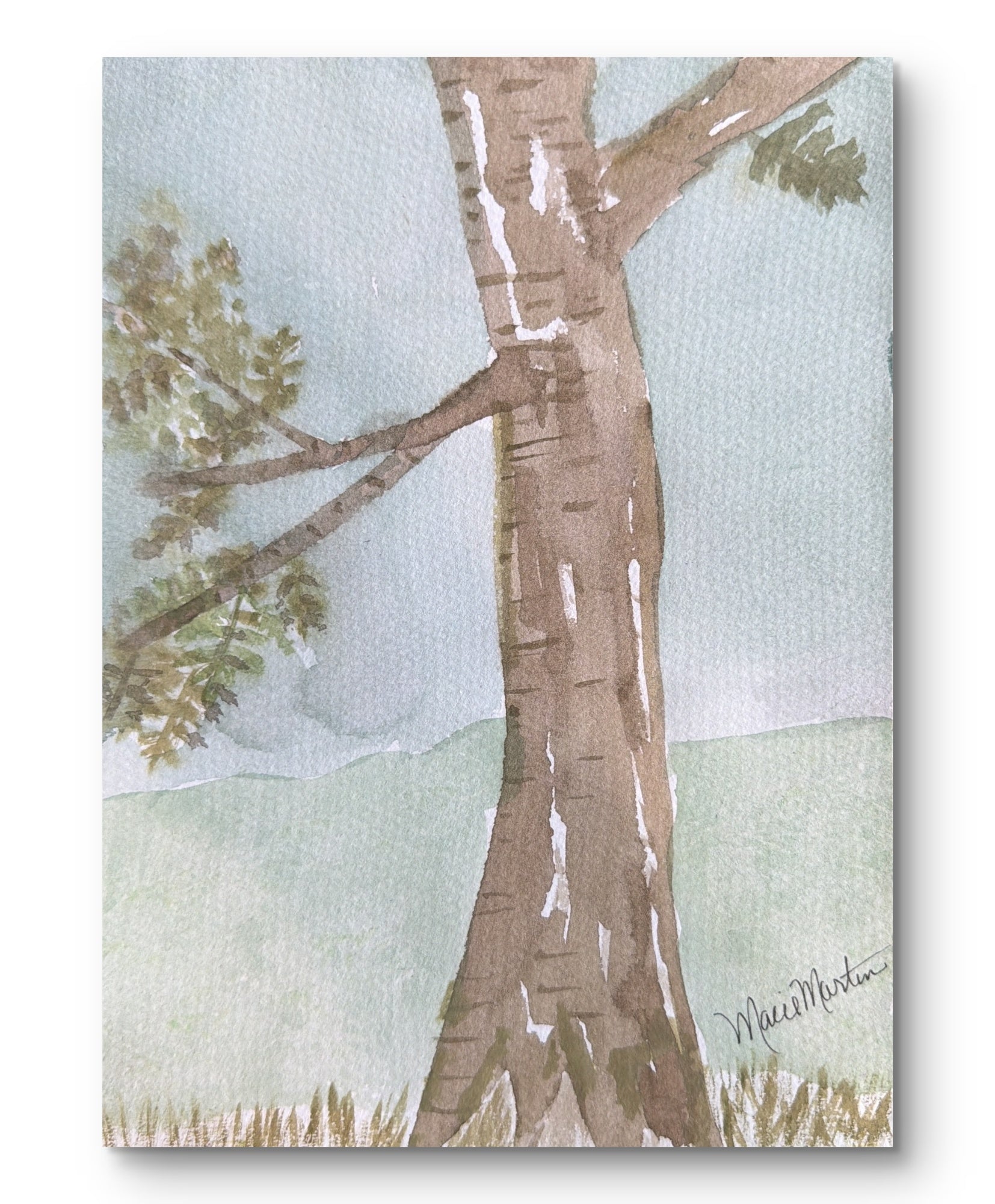 The Swaying Tree
