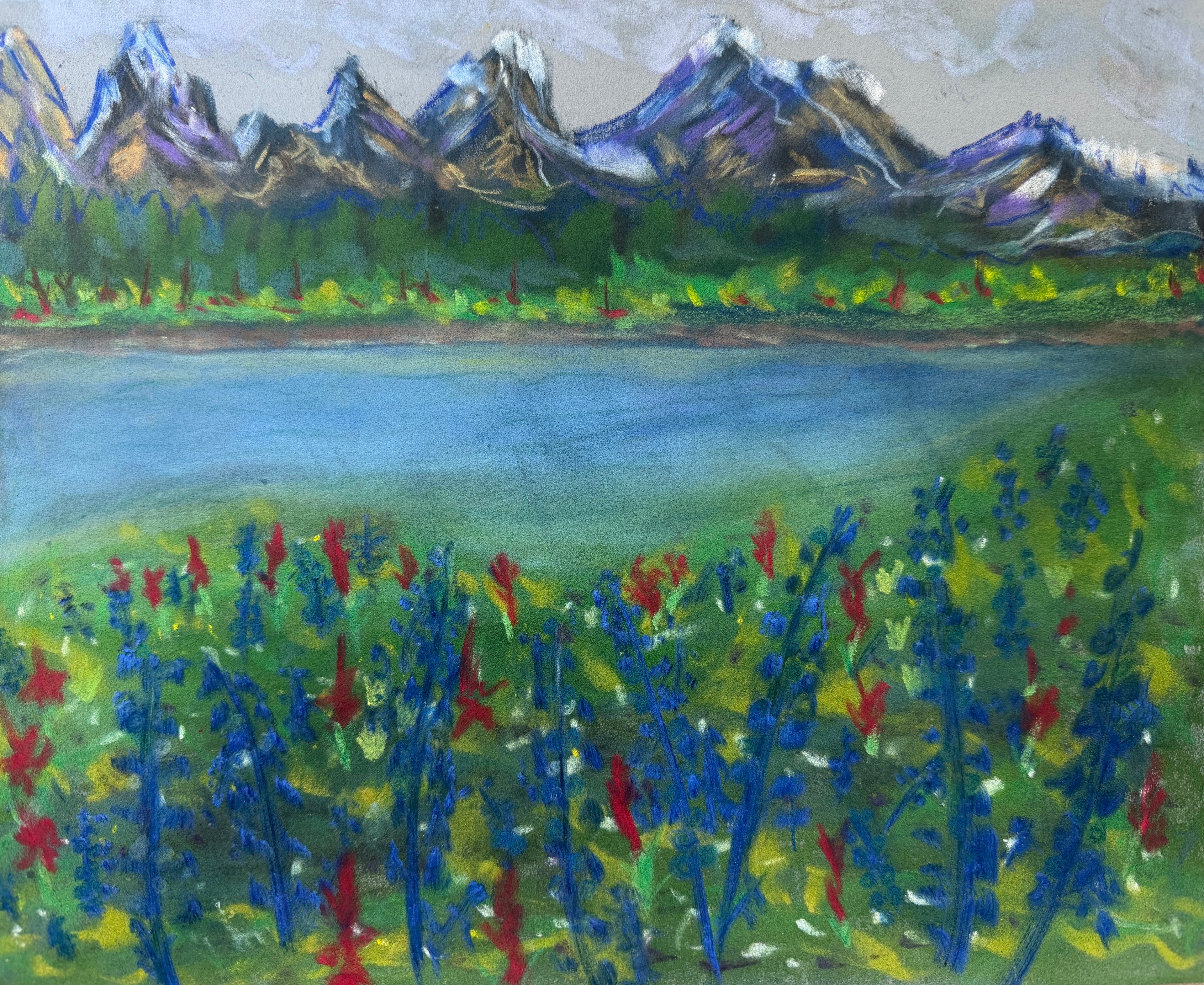 Meadow mountain bloom