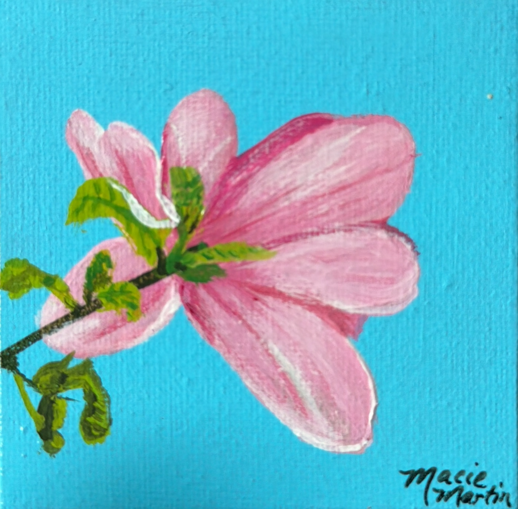 Pink Magnolia Bloom