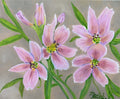 Spring Awakening