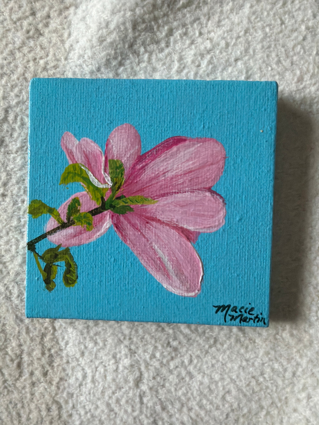 Pink Magnolia Bloom