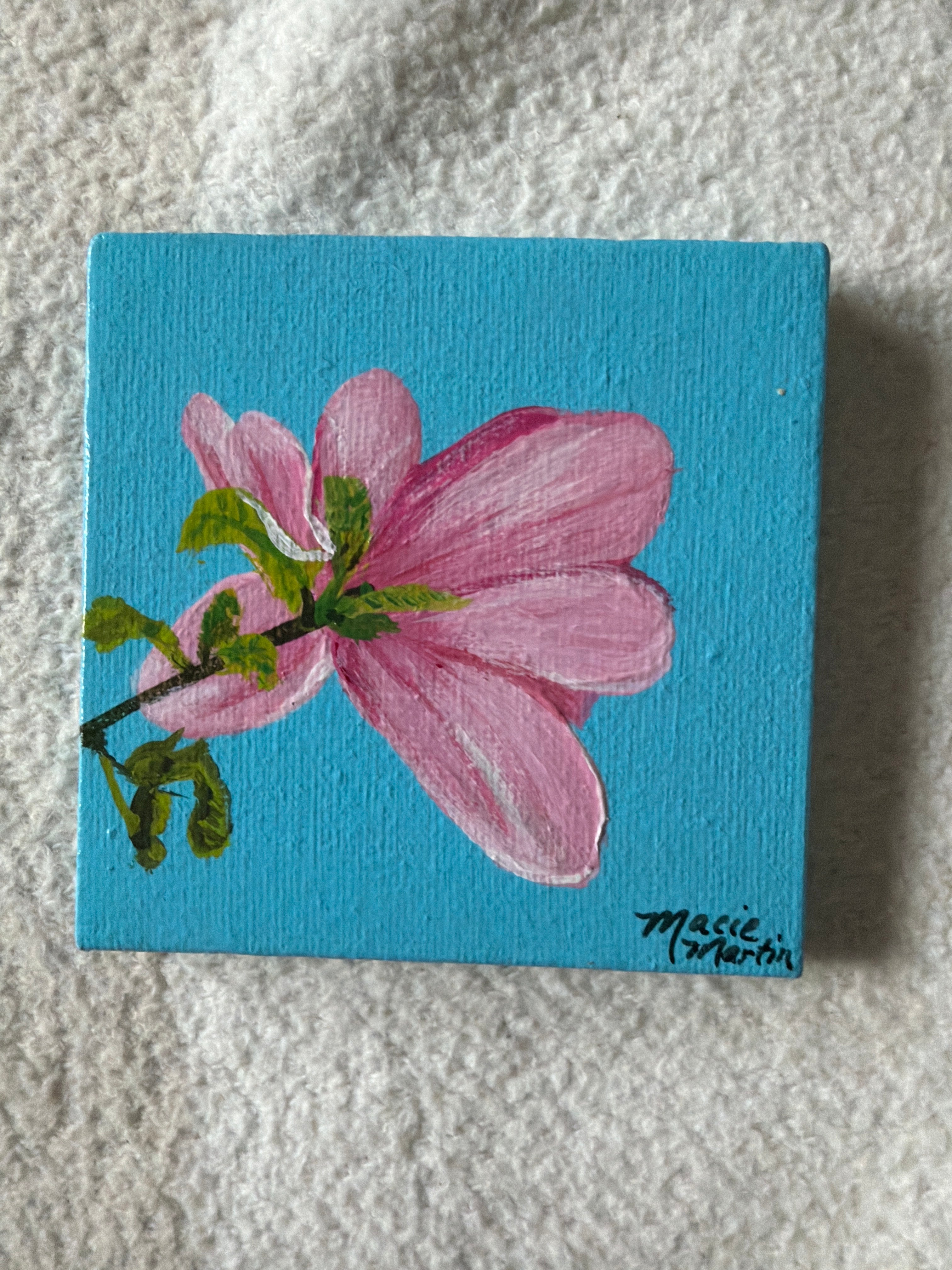 Pink Magnolia Bloom