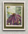 Purple Coneflower in soft light