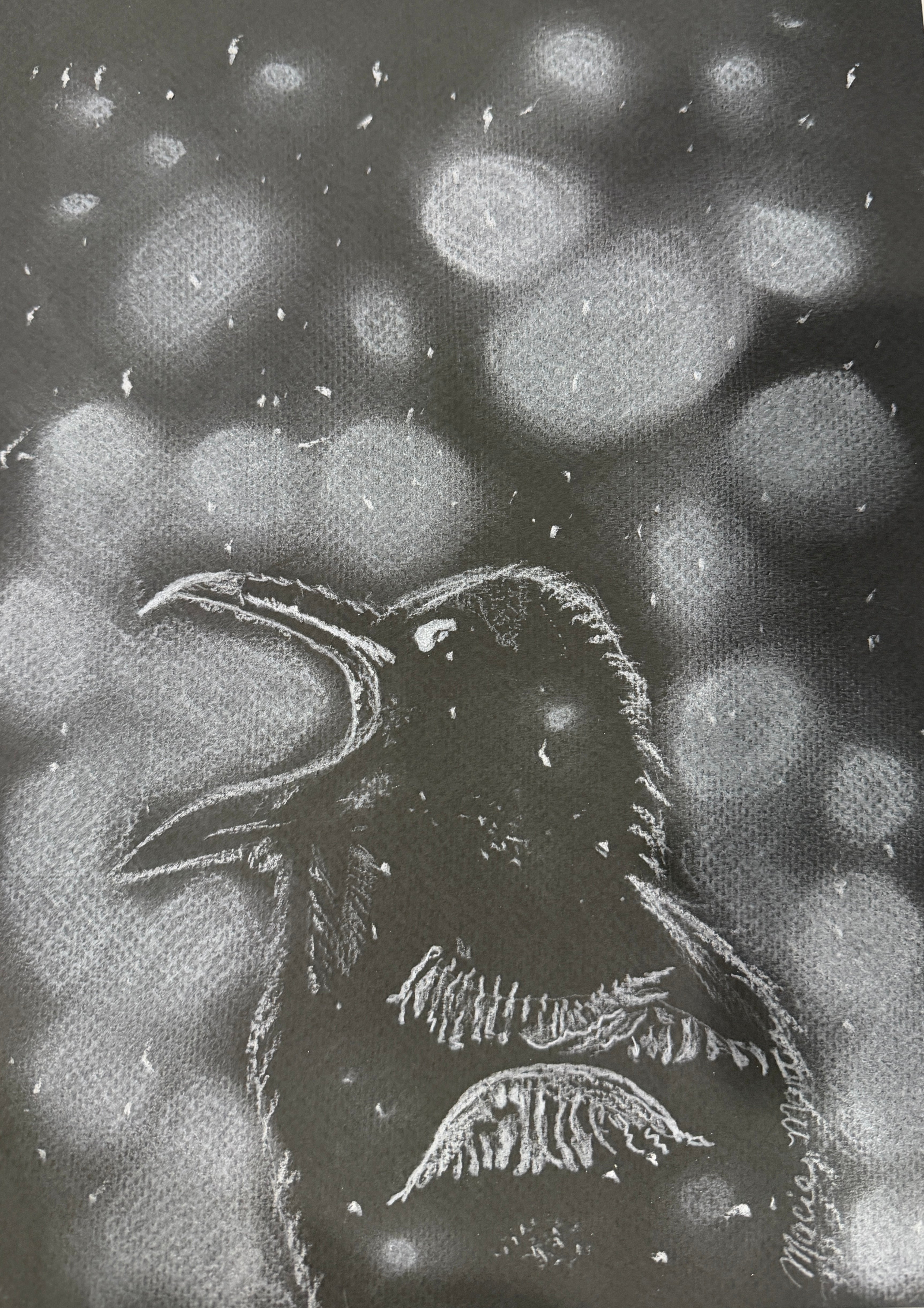 Caw, caw!